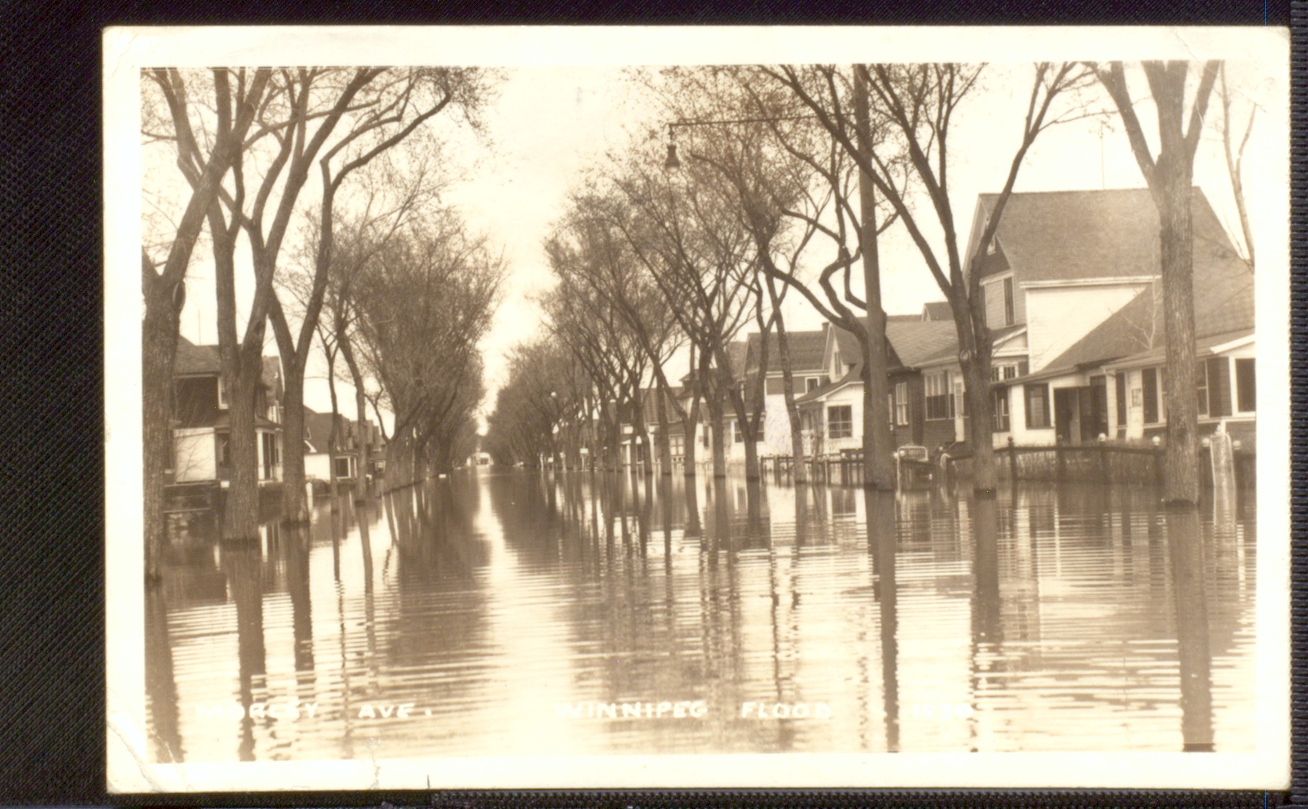 Morley Ave., Winnipeg flood, 1950 Free Download, Borrow, and