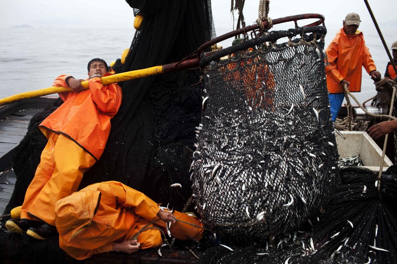 Illegal Fishing Costs Us Billions Every Year. The U.S. Is Finally About