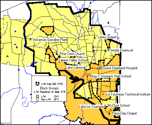 Longview Consolidated Plan for 1995 Executive Summary