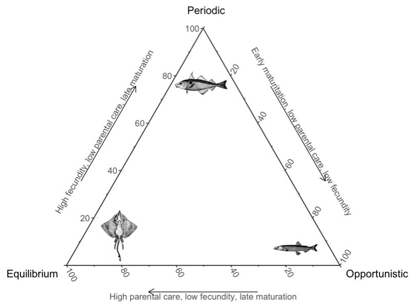 Reproductive strategies and rockfish A life history traits framework