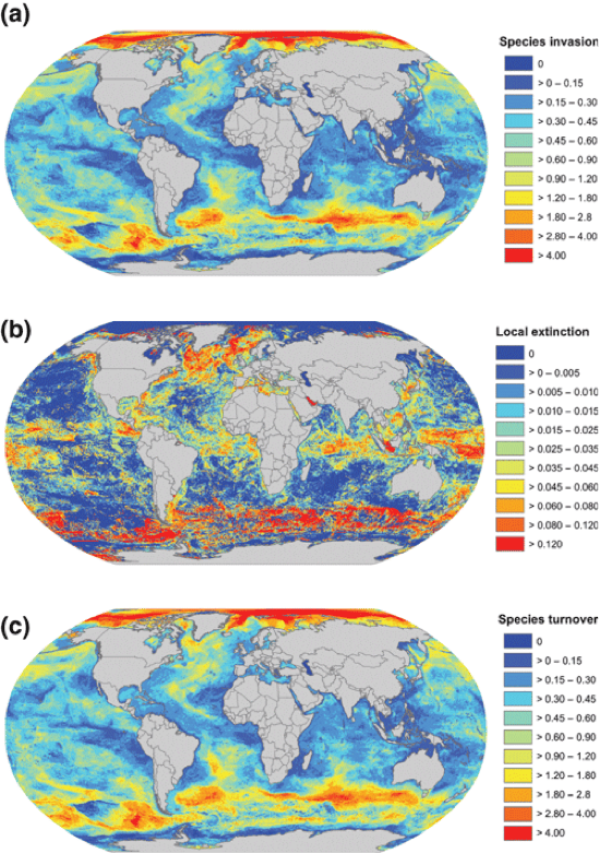 Global spatial distribution of marine species and diversity in the