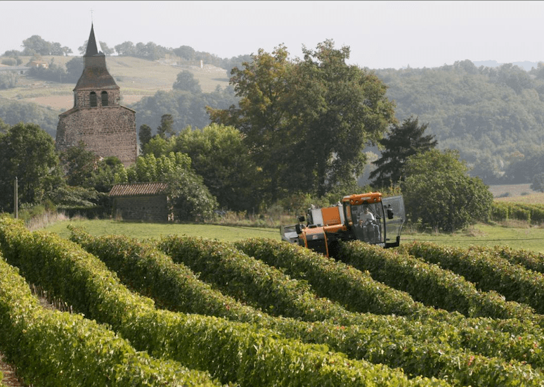 Vivadour fleuron du Gers PresseLib