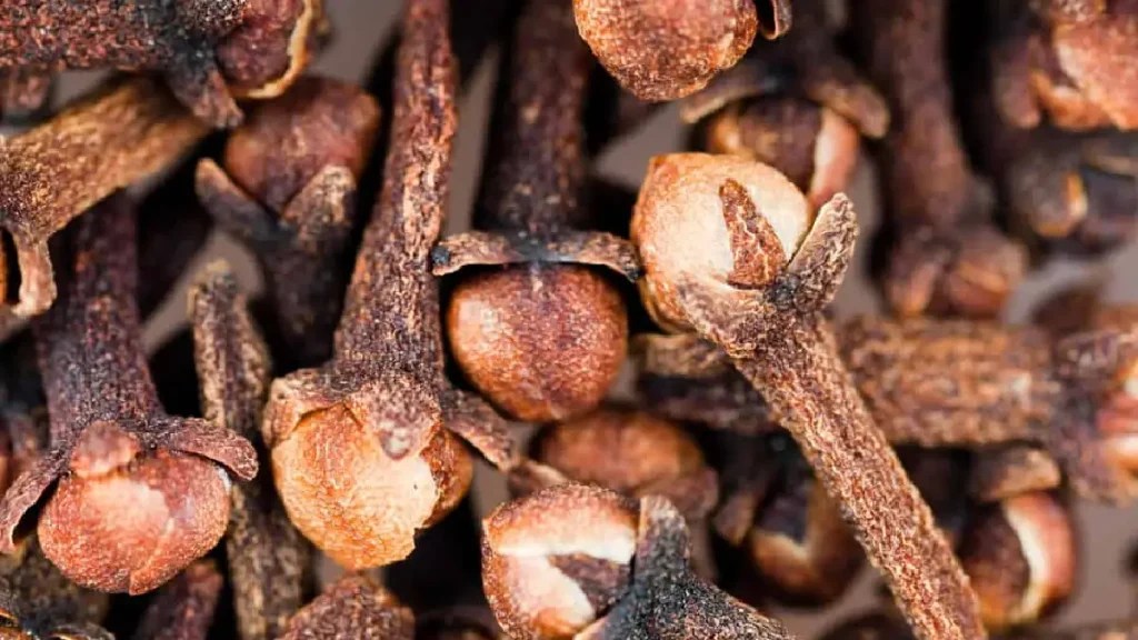 Cloves Repel Mice at Stoll blog
