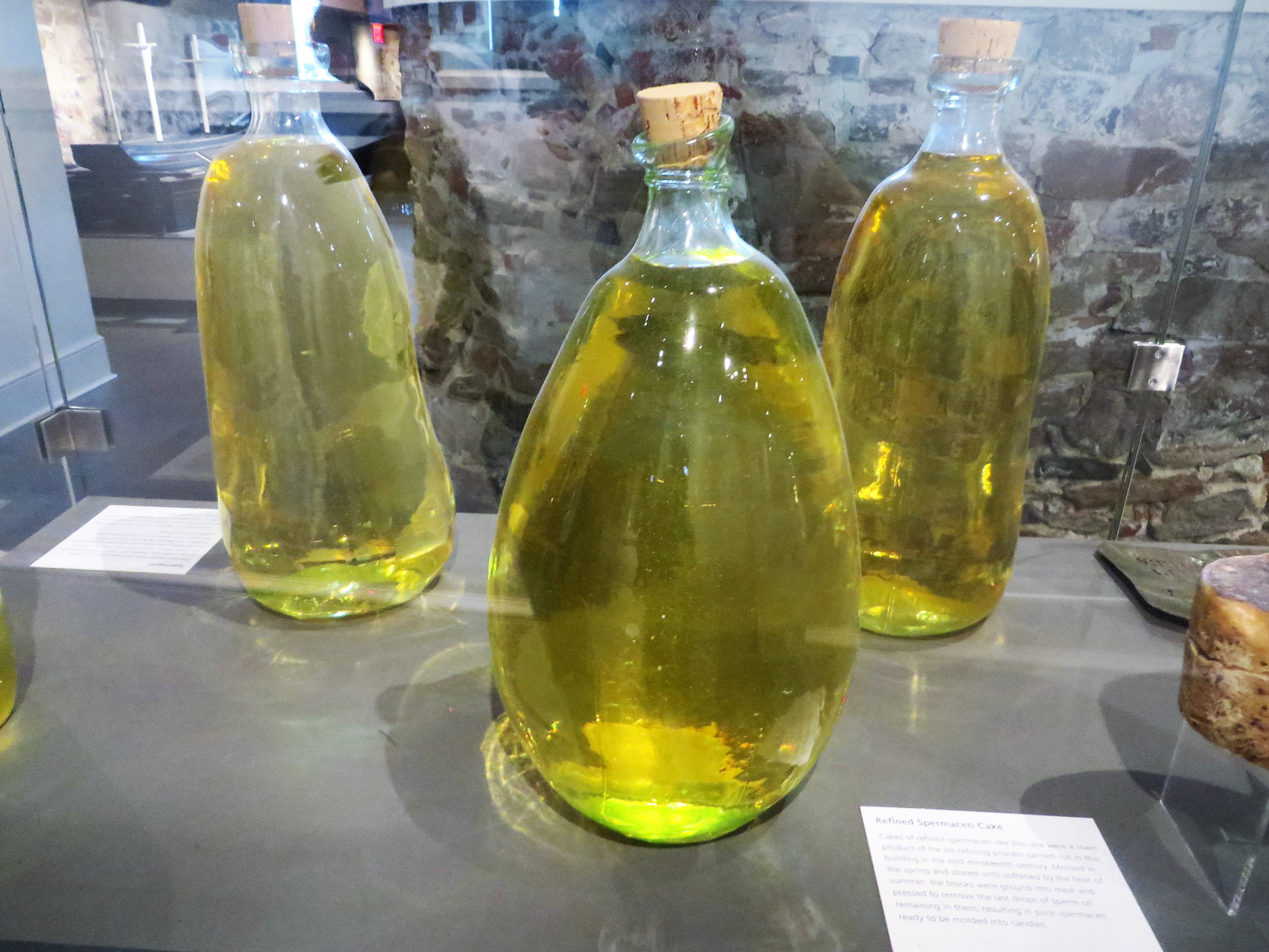whale oil « Archives, Libraries and Museums