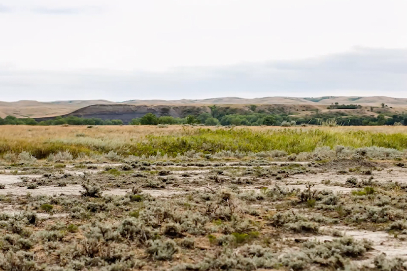 The Lakota Nation and the Legacy of American Colonization, Cheyenne
