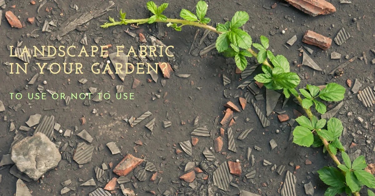 2024 Should I Use Landscape Fabric in My Garden? » Archova Visuals