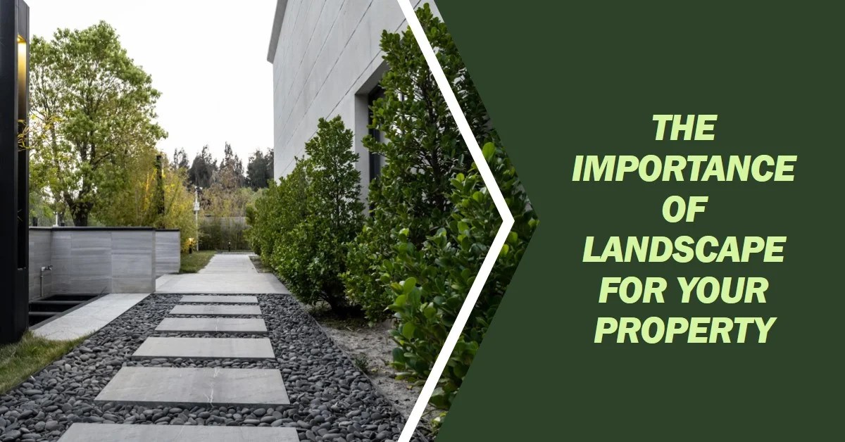 2024 Why Landscape is Important for Your Property » Archova Visuals