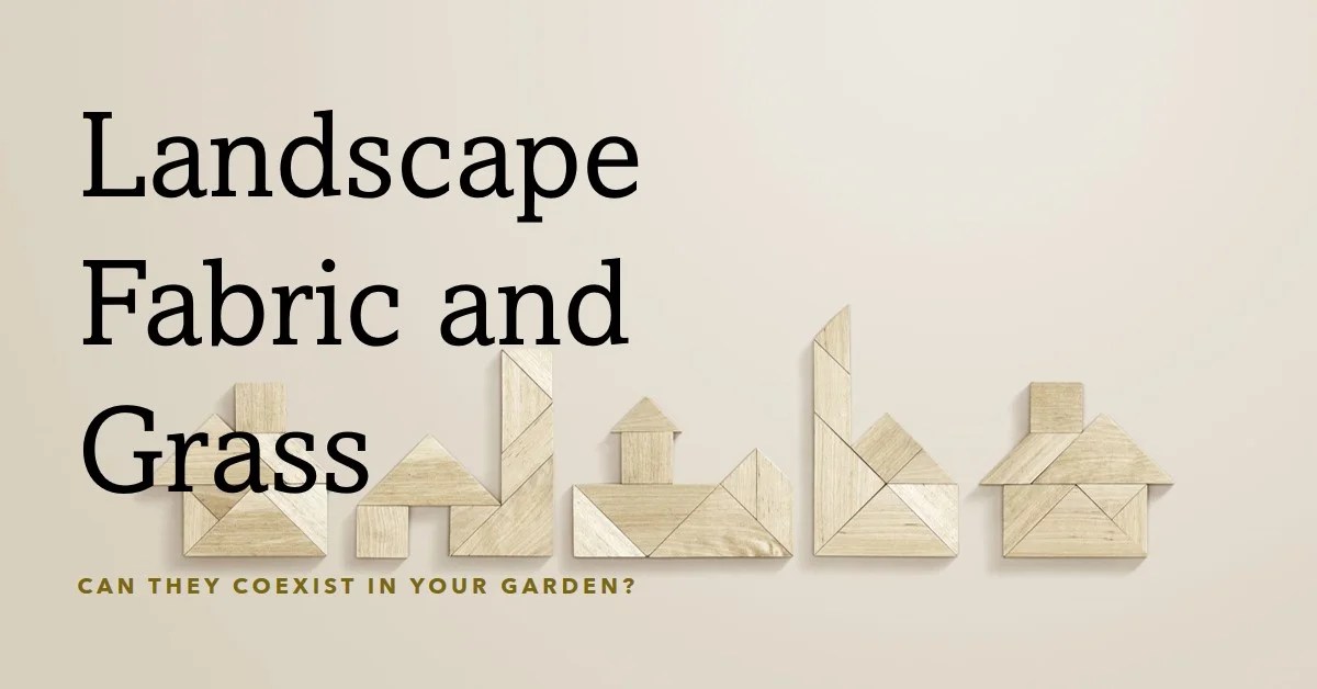 2024 Can Landscape Fabric Kill Grass in My Garden? » Archova Visuals
