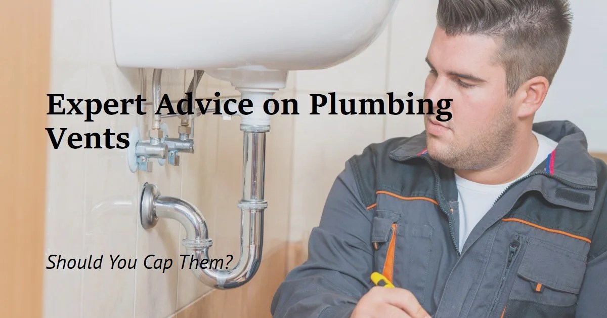 2024 Should Plumbing Vents Be Capped? Expert Advice » Archova Visuals