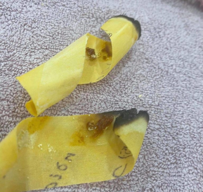 Hopi Ear Candles Arch Rival Brows