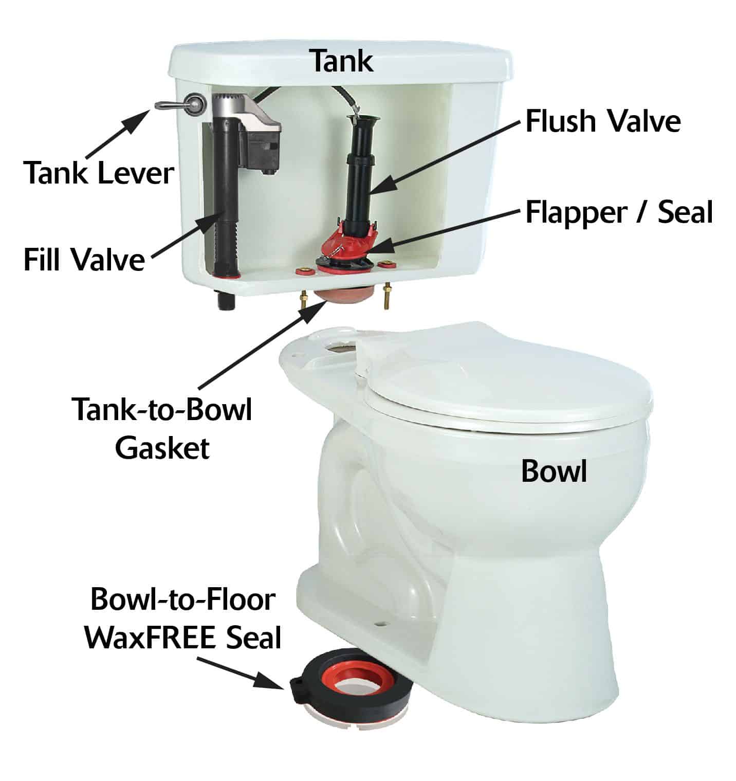 Learn the Basics of How Toilet Plumbing Works - Archute