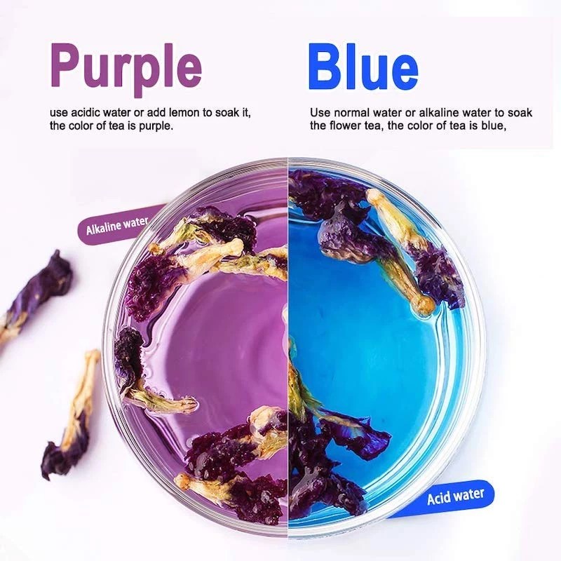 Butterfly Pea Flower The Benefits of this Magical Blue Tea + 4 Recipes