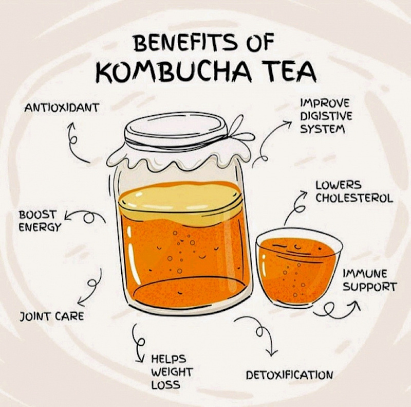 The Best Homemade Kombucha Recipe A Healthy Fizzy Fermented Tea