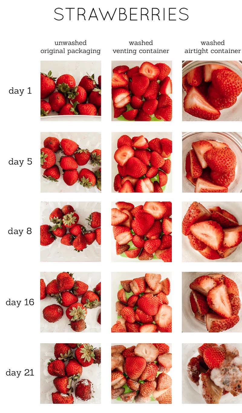 How to clean and store strawberries to keep them fresh & aromatic