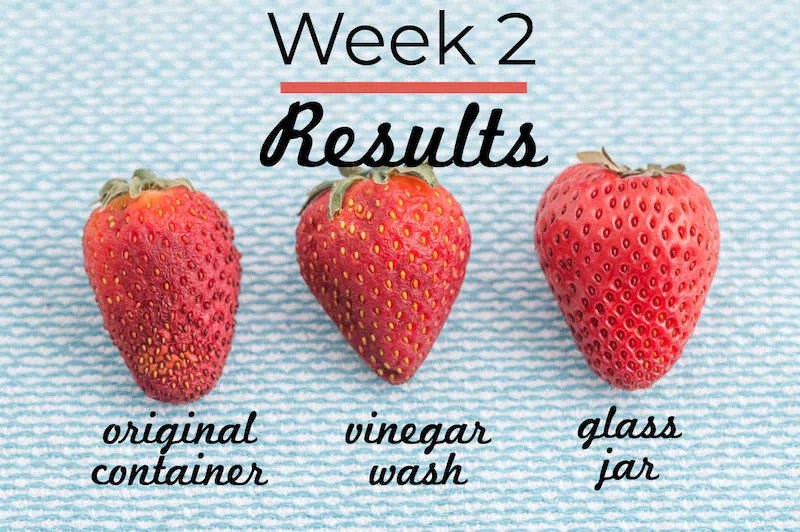 How to clean and store strawberries to keep them fresh & aromatic