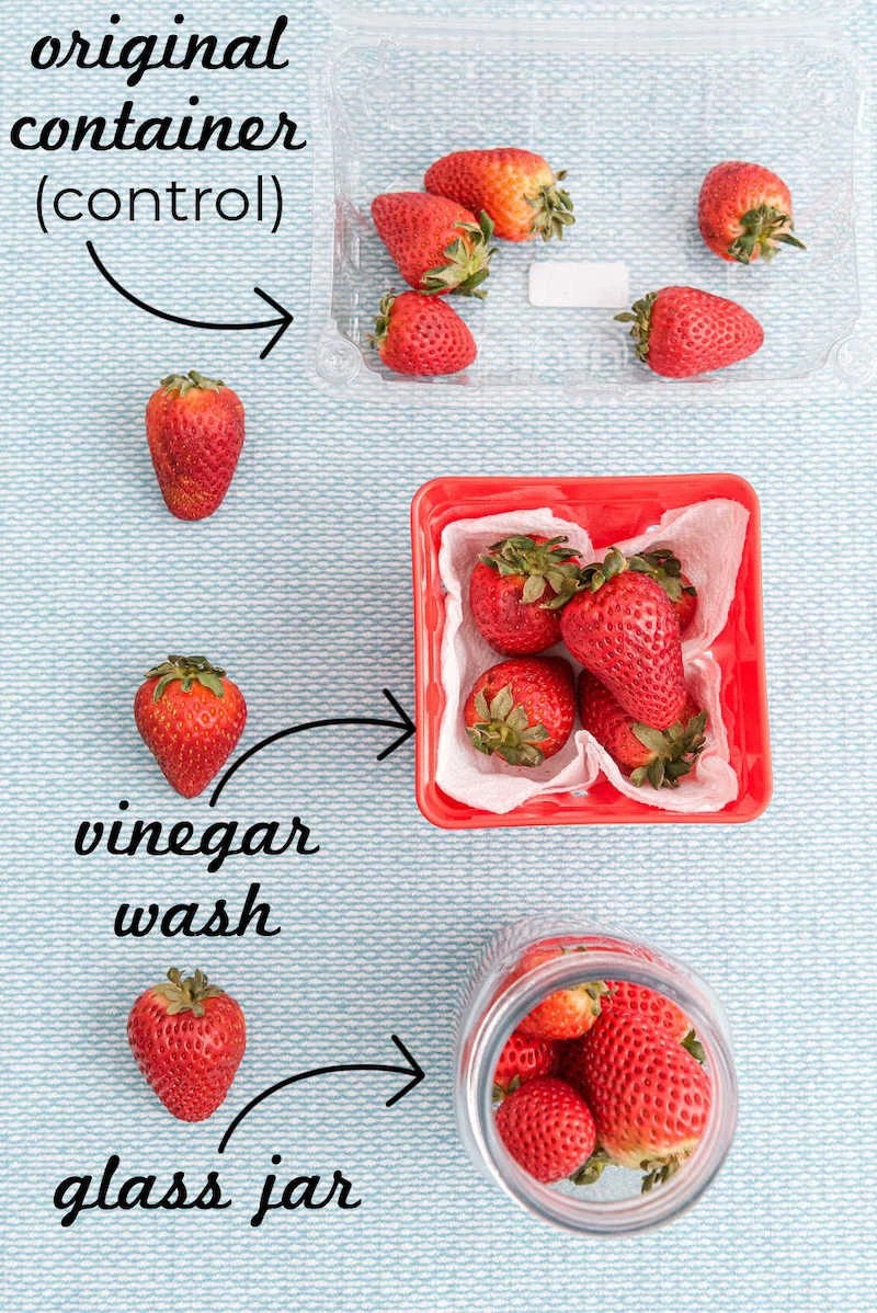 How to clean and store strawberries to keep them fresh & aromatic