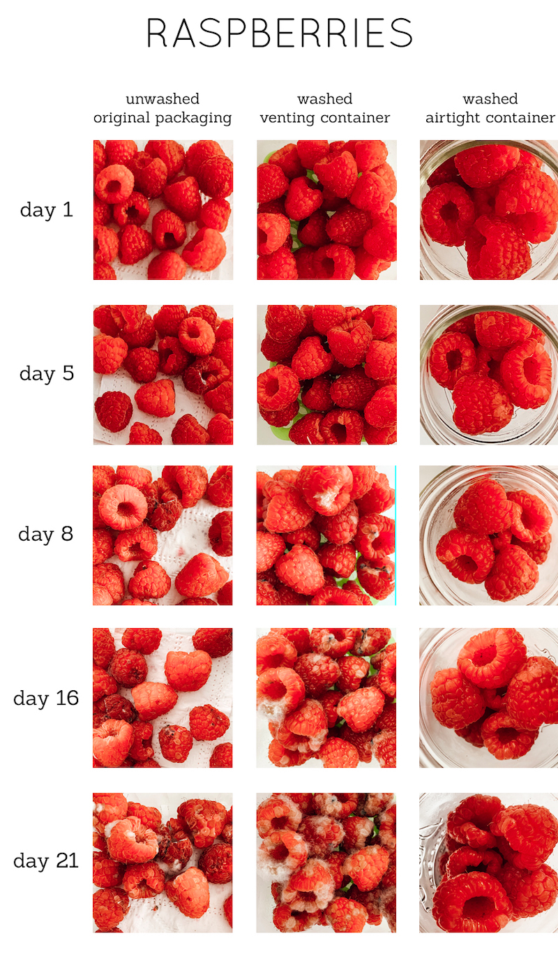 How to wash and store raspberries so they stay fresh for longer