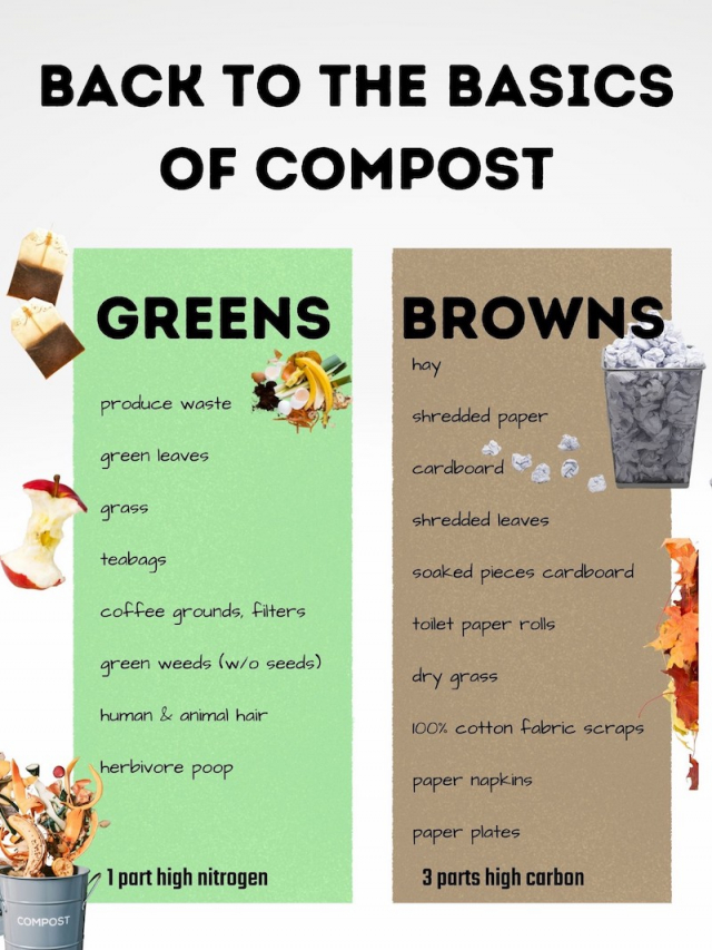 Organic Compost Guide Everything you need to know about making your