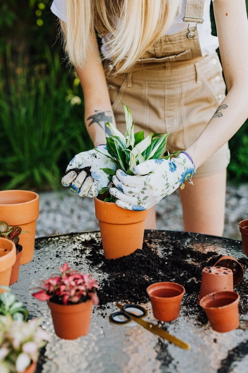 Spring Gardening Guide How to prep your garden for the spring season