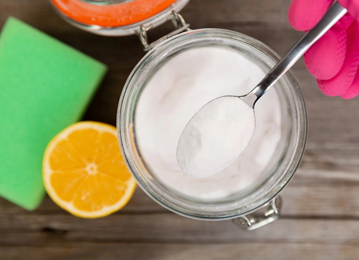 7 Easy Ways To Stop Cat Litter From Smelling