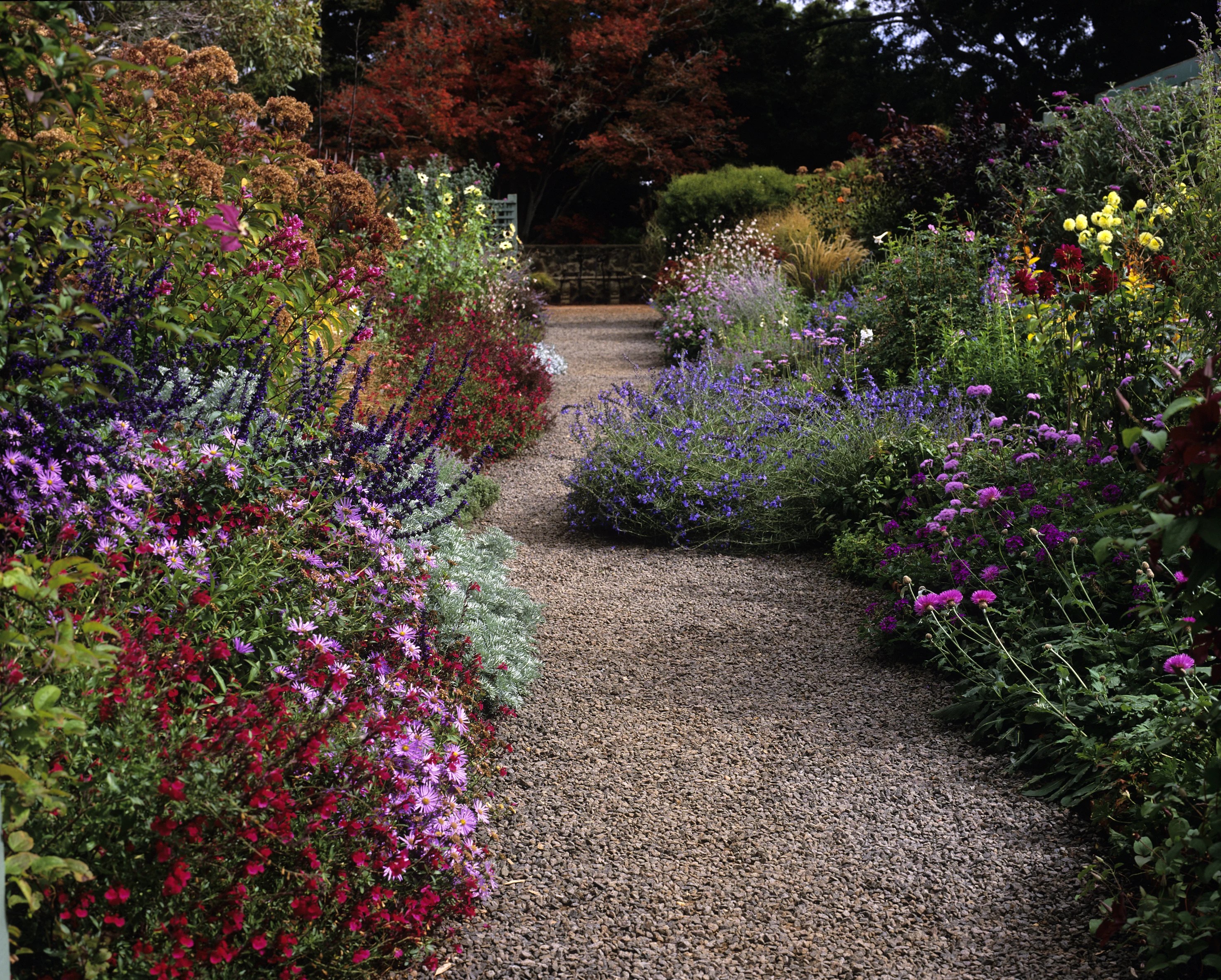 7 Captivating Plants To Use For Beautiful Garden Borders