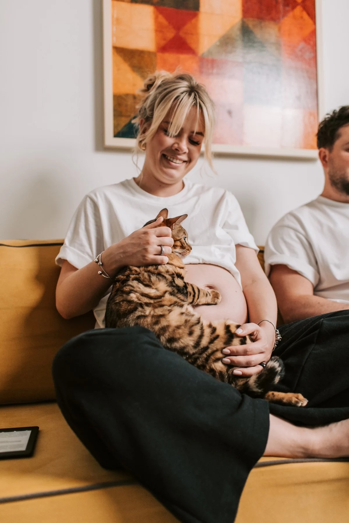 How to Actually Feed Your Pregnant Cat Complete Guide