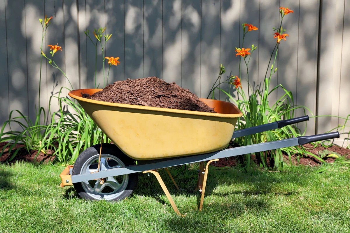 Here Is The Best Time To Mulch Your Garden Beds