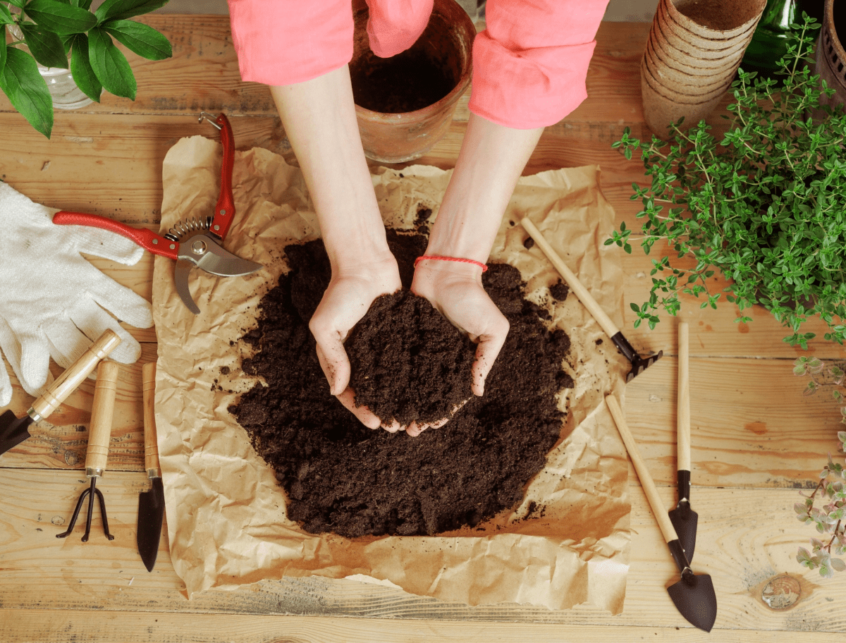 How to Sterilize Potting Soil 8 GardenerApproved Methods