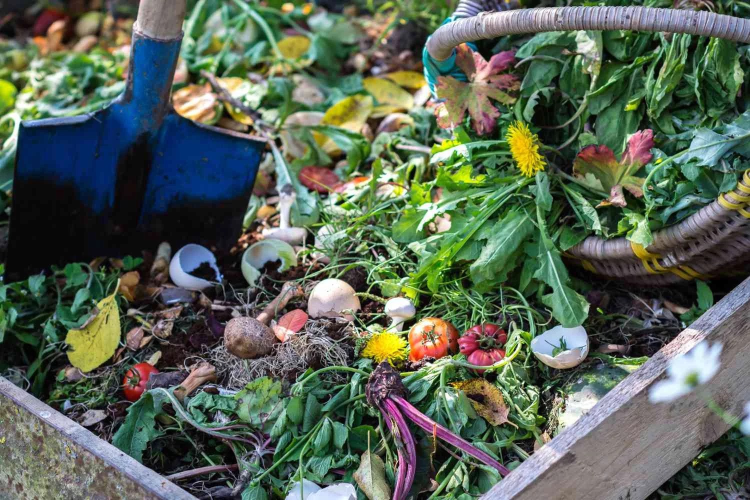 What Not To Compost And Why The Ultimate Guide