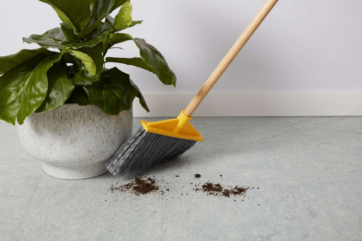 How to Clean The Different Types of Floors (Ultimate Guide)