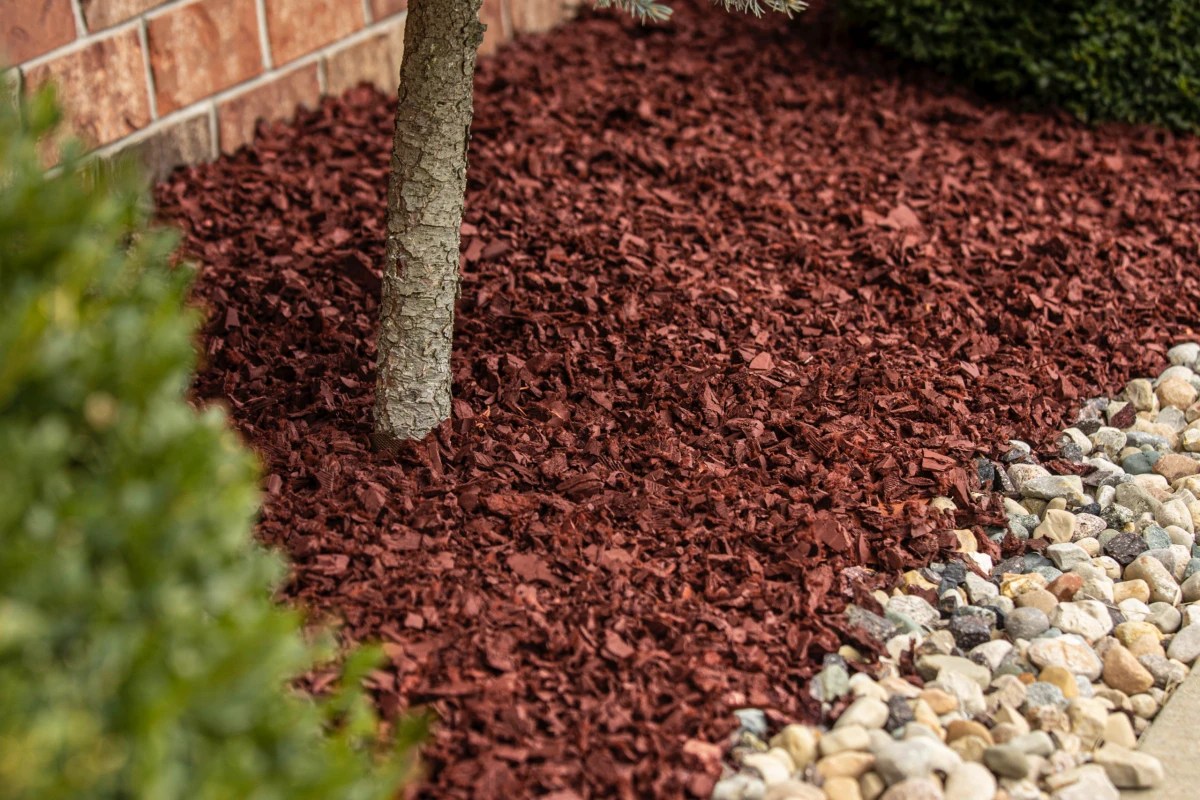 Which Is The Best Mulch For Flower Beds?