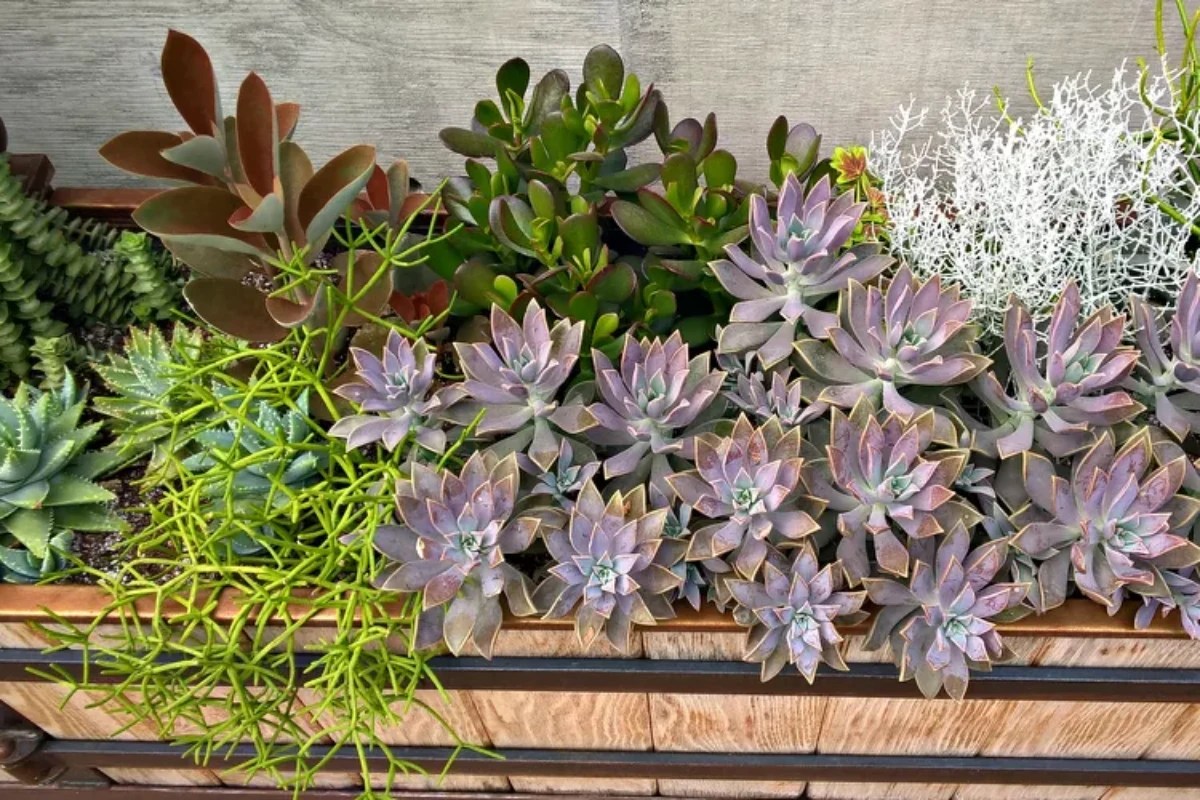 5 Beautiful Flower Box Ideas To Add To Your Home