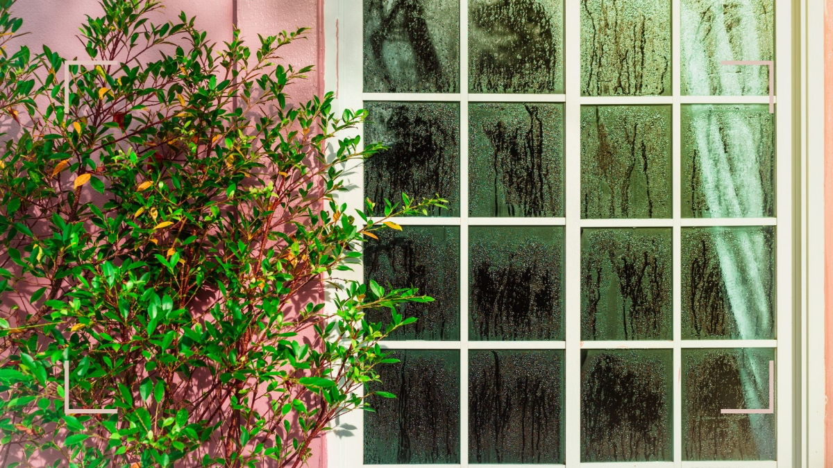 Dry and Cozy How to Reduce Humidity in The House in Winter