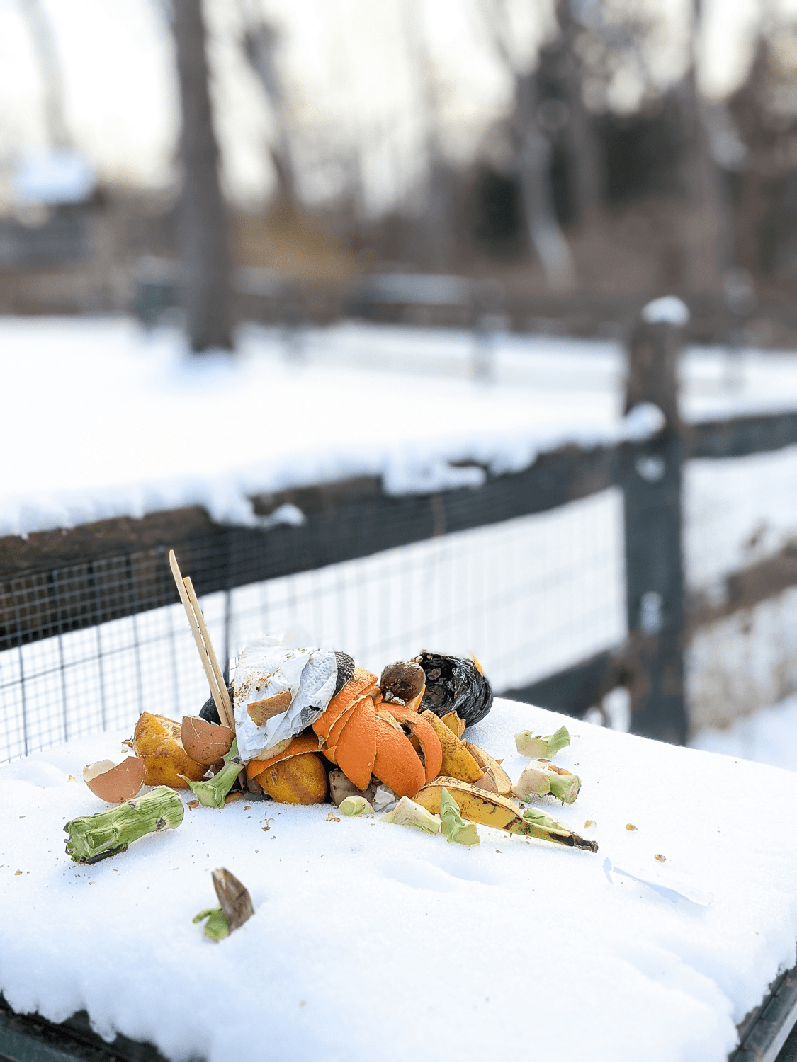 Your Guide to Successful Winter Gardening 6 Essential Tasks