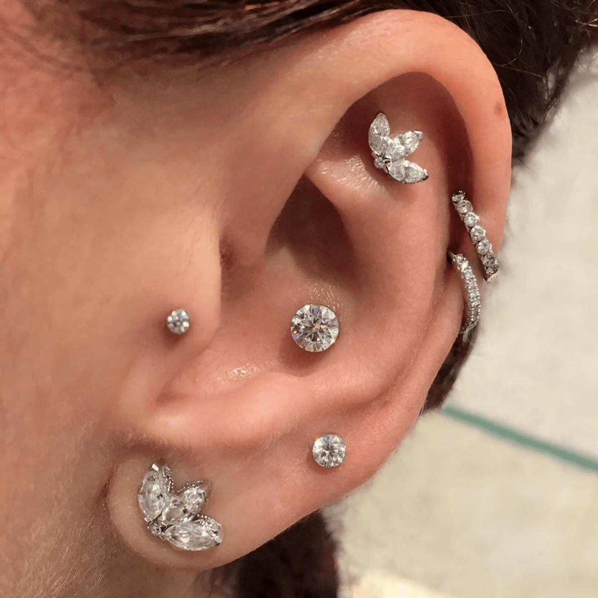 Exploring the Double Helix Piercing All You Really Need to Know
