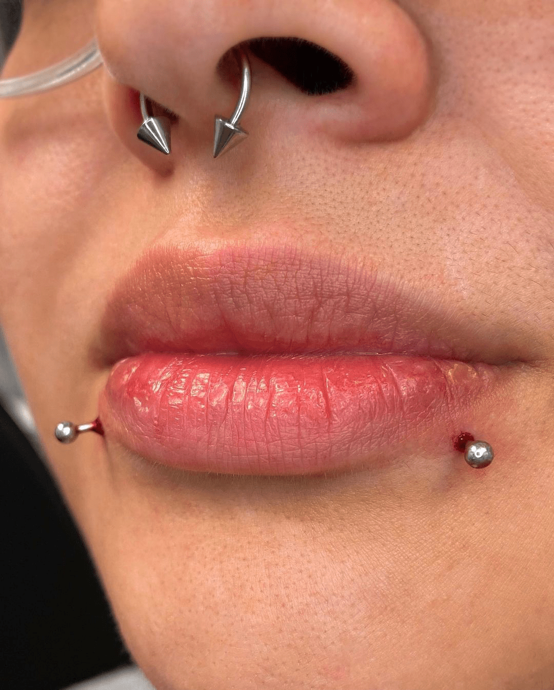 Your Guide to Snake Bites Piercings Healing, Aftercare & More