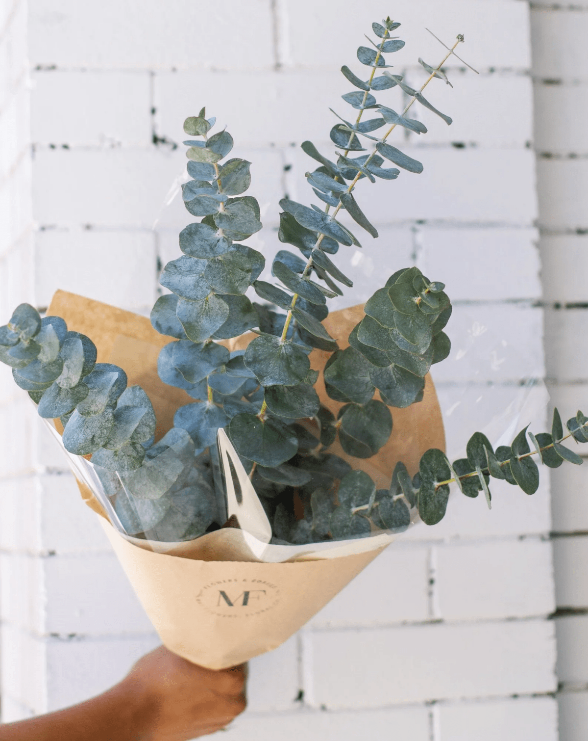 5 Benefits Of Having Fresh Eucalyptus In The Shower