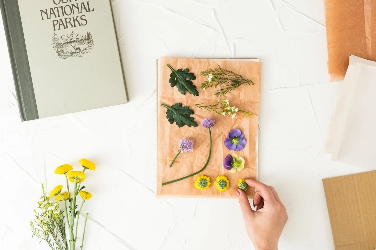 Floral Preservation 101 How to Press Flowers at Home