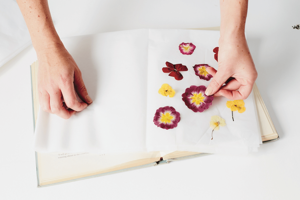 Floral Preservation 101 How to Press Flowers at Home