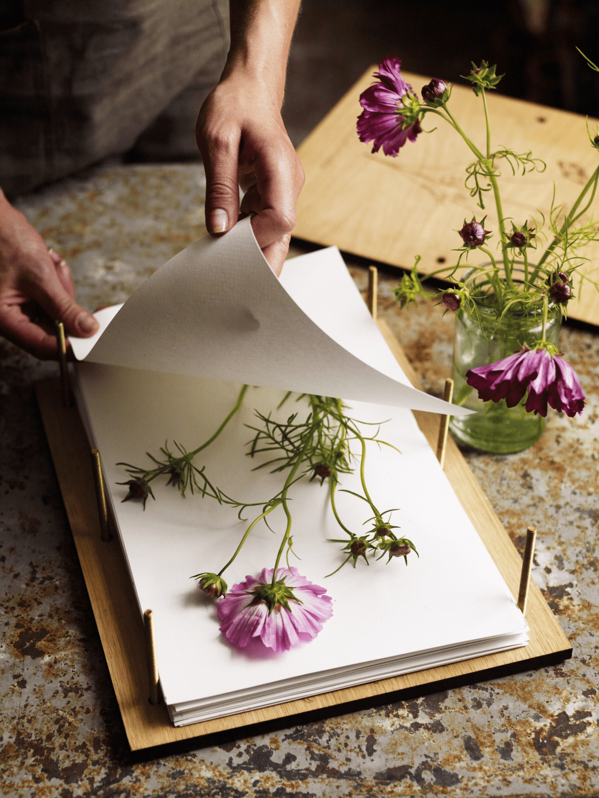 Floral Preservation 101 How to Press Flowers at Home