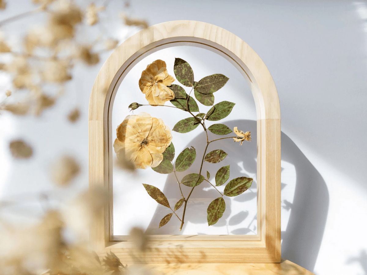 Forever Roses How to Press Roses to Perfectly Preserve Them