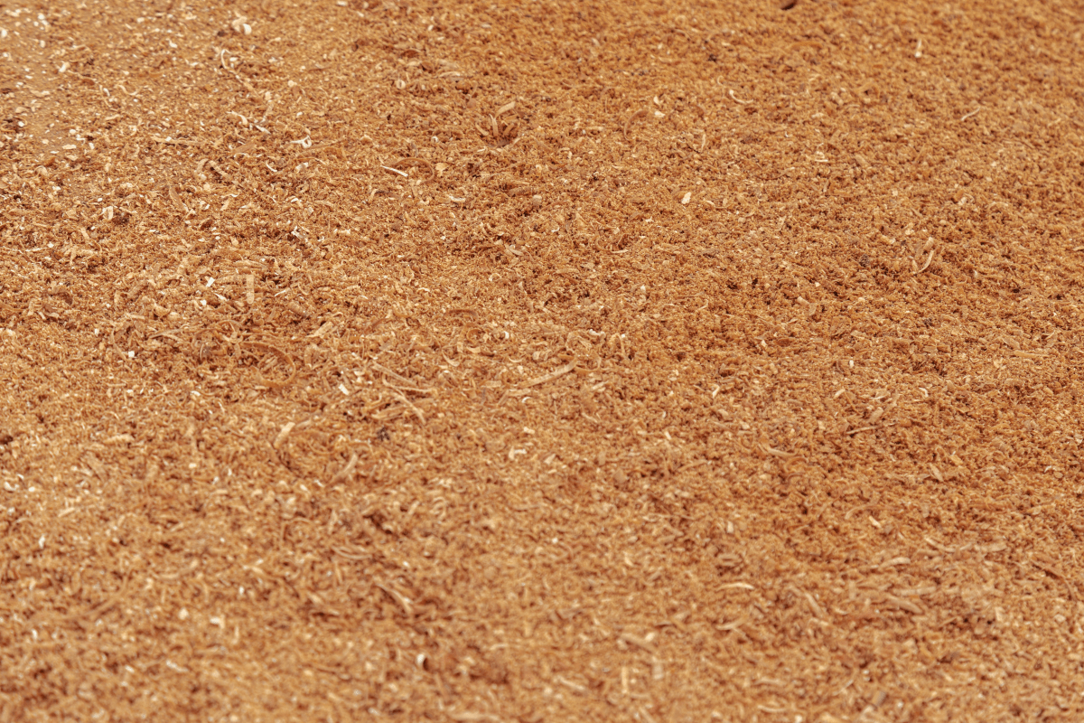 Maggots In Compost? Here Are 7 Simple Solutions