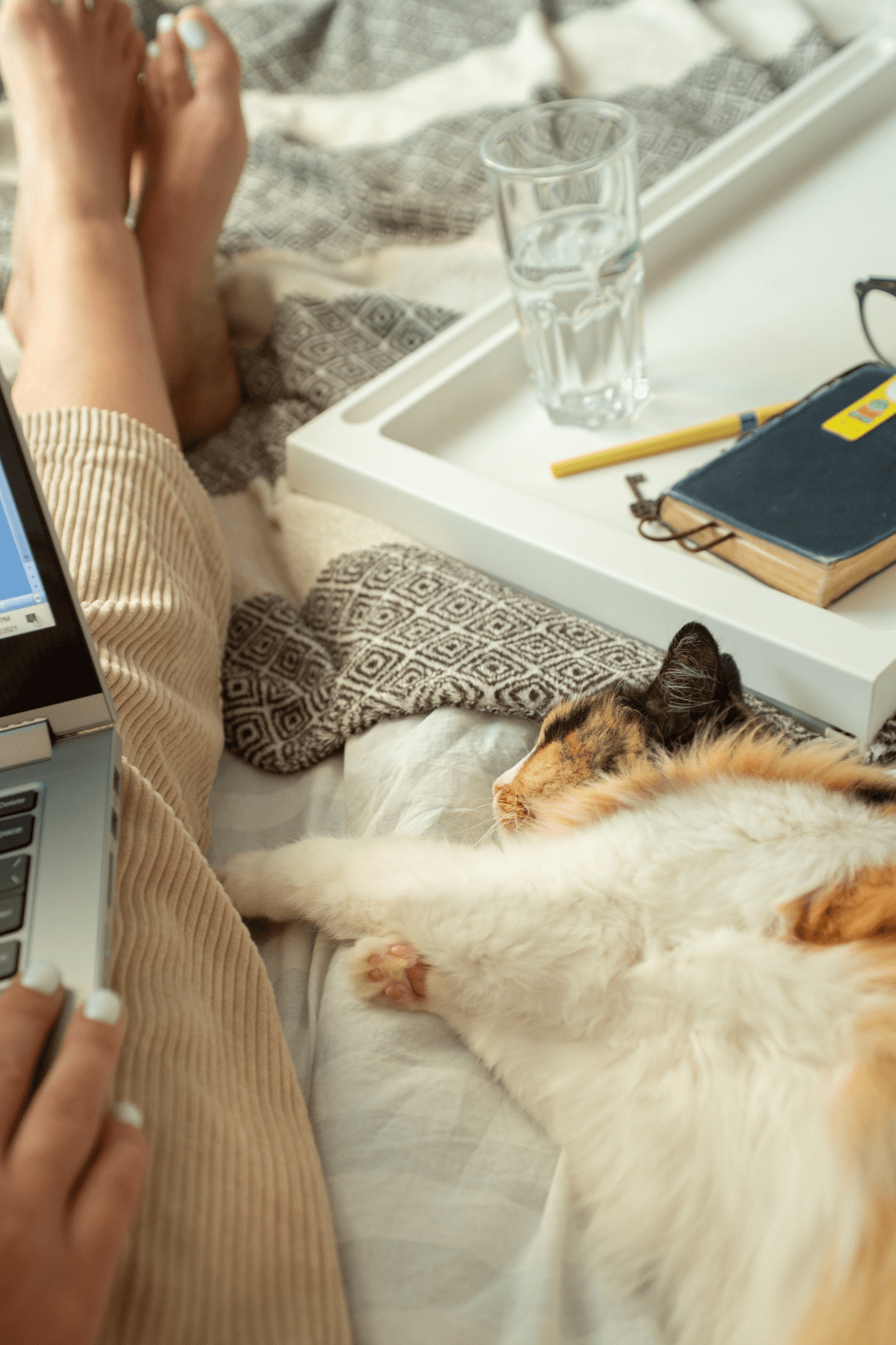 Cat Cuddles Unveiled Why Does My Cat Like to Sleep with Me?