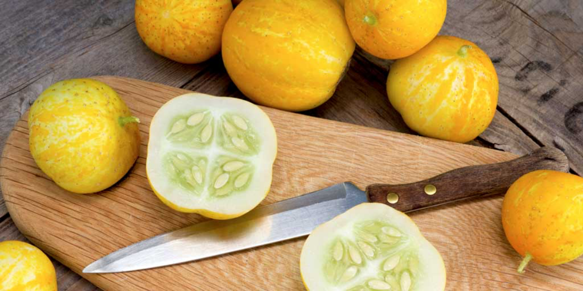 From Planting To Plating The Ultimate Guide To Lemon Cucumber