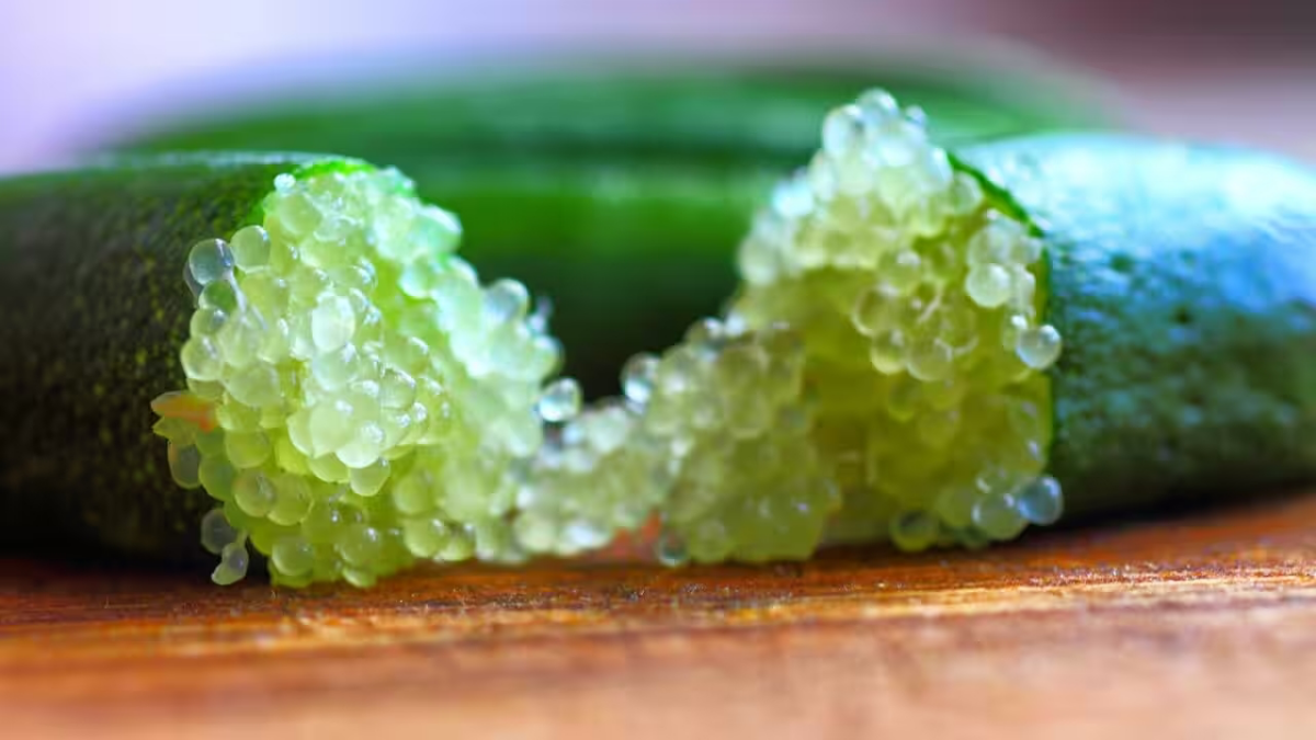 What Are Finger Limes? The Ultimate Guide To This Citrus Caviar