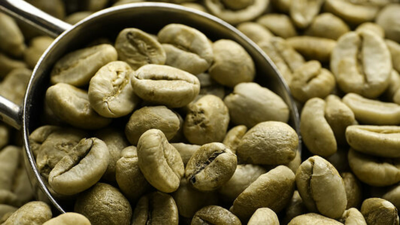 El Salvador Finca Hungria Organic Unroasted Coffee Beans 16 oz