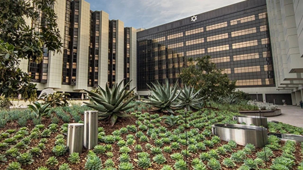 The Healing Garden For Cedar Sinai Medical Center Arco Unico