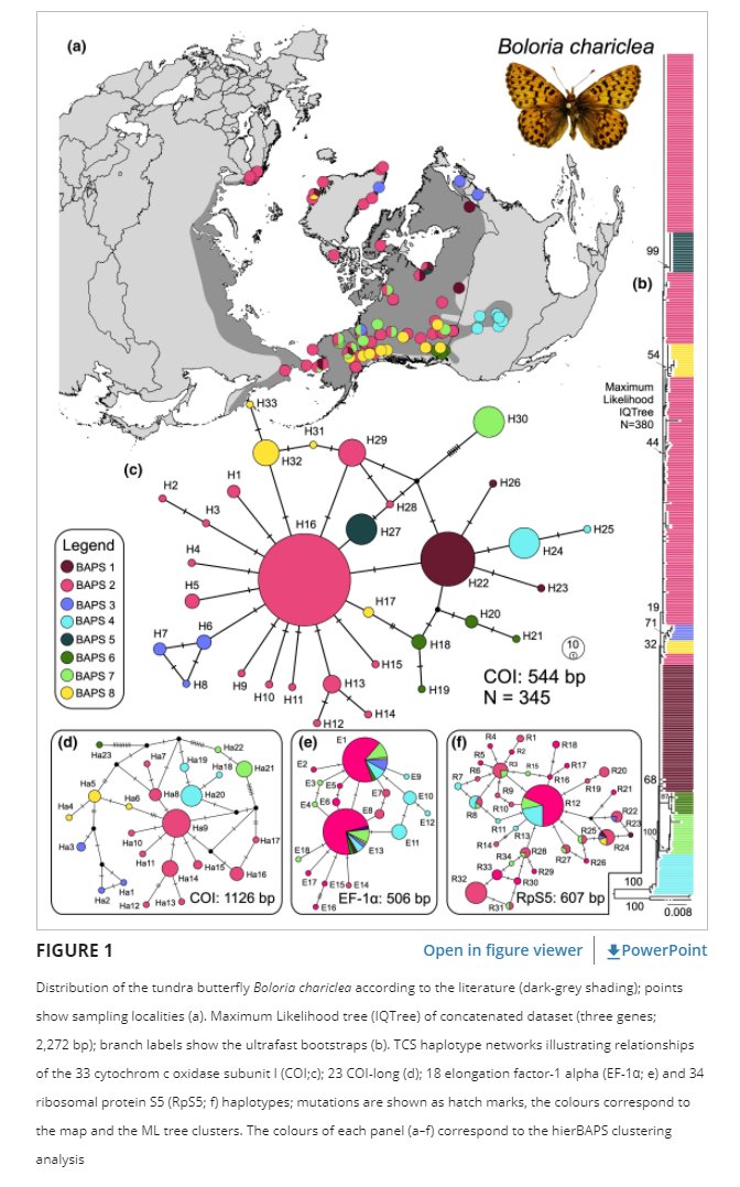 The story of endurance Biogeography and the evolutionary history of