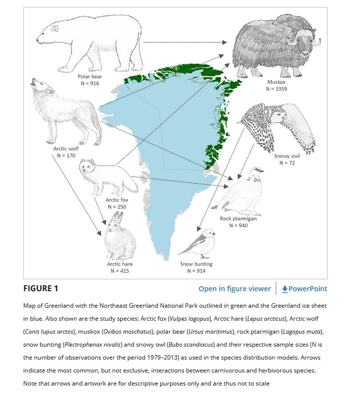 Rapid shifts in Arctic tundra species' distributions and inter‐specific range overlap under