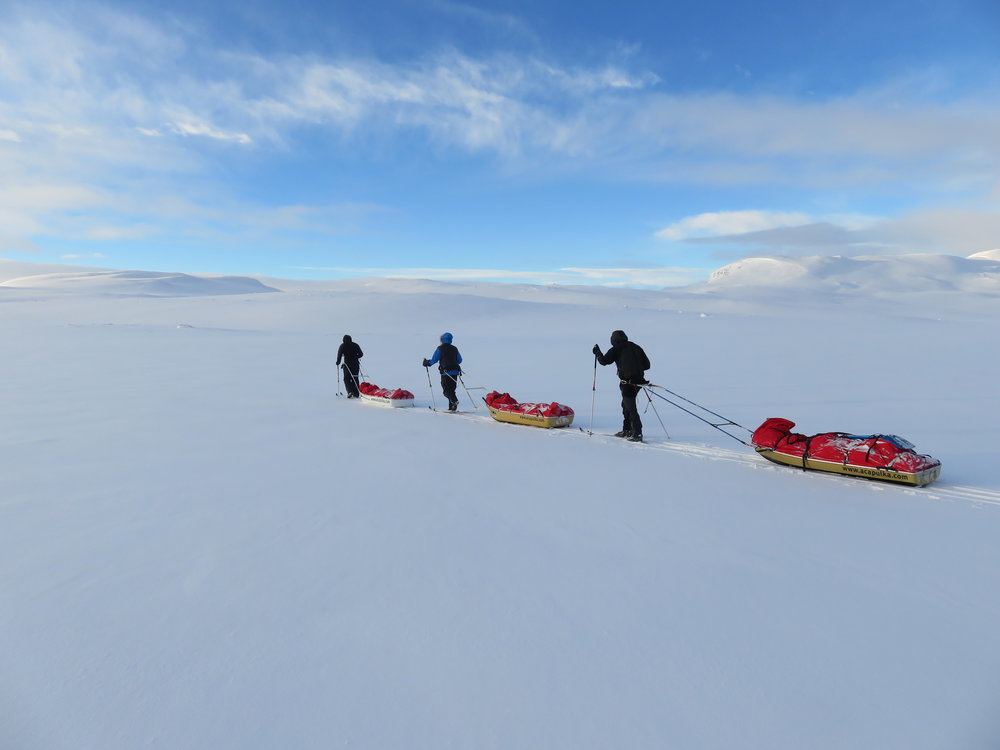 Arctic Ave Chapter 1 Read The First Chapter Of Arctic Ave